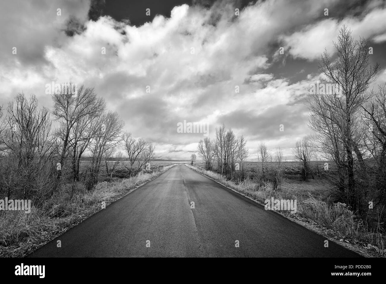 Immagine in bianco e nero di una strada panoramica nel Parco Nazionale di Grand Teton, Wyoming negli Stati Uniti. Foto Stock