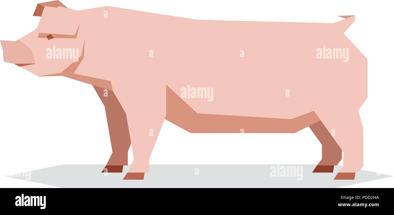 Geometrica piana Chester maiale bianco Illustrazione Vettoriale