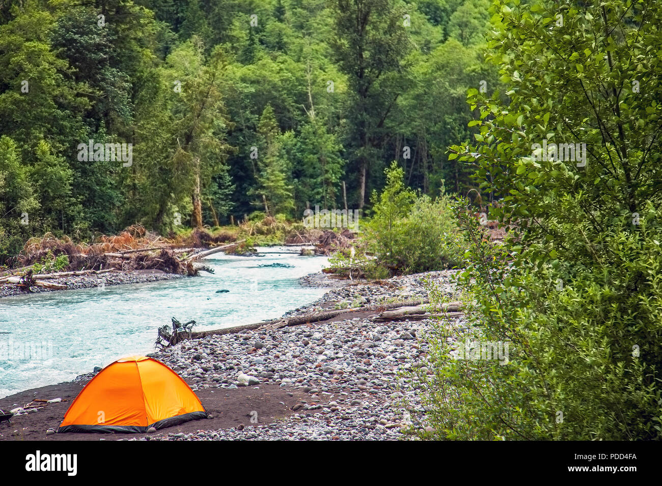 Tenda sul fiume Nisqually in Mount Rainier National Park in Washington STATI UNITI D'AMERICA Foto Stock
