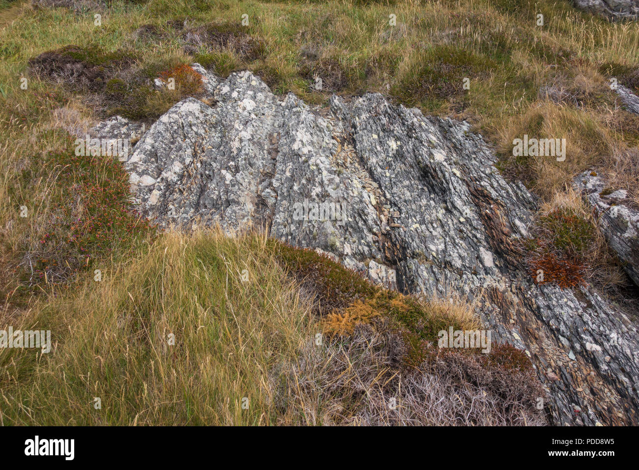 Il paesaggio roccioso vista sulle colline in Irlanda Foto Stock