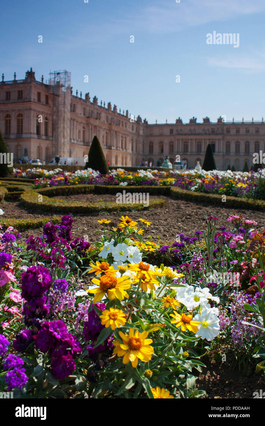 Fiori colorati nel giardino della reggia di Versailles, estate, closeup verticale Foto Stock