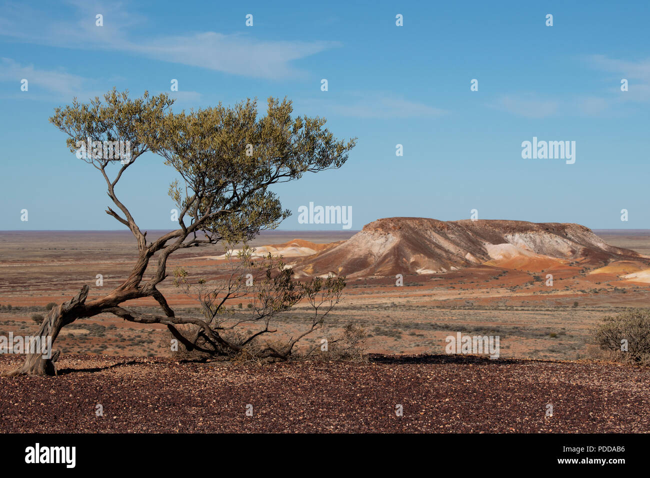 In Australia, in Sud Australia, Stuart Highway, Coober Pedy. Kanku-Breakaways Conservation Park aka i distacchi e Umoona. Foto Stock