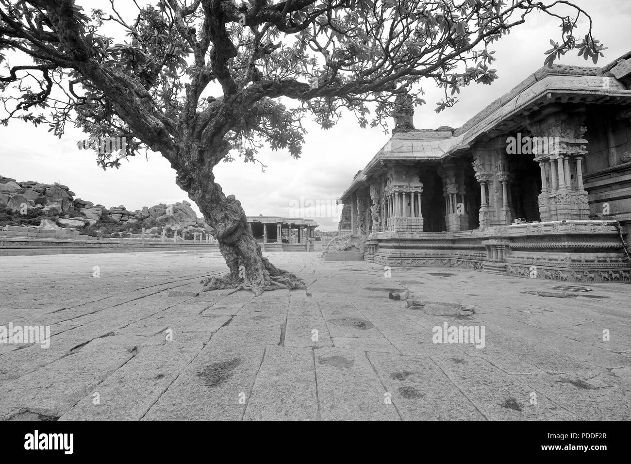 Bellissima vista del tempio Vitthala, tempio complesso, Hampi, Karnataka, India Foto Stock