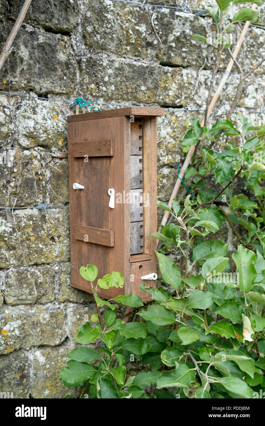 Bug hotel montato su un vecchio muro di pietra in giardino Foto Stock