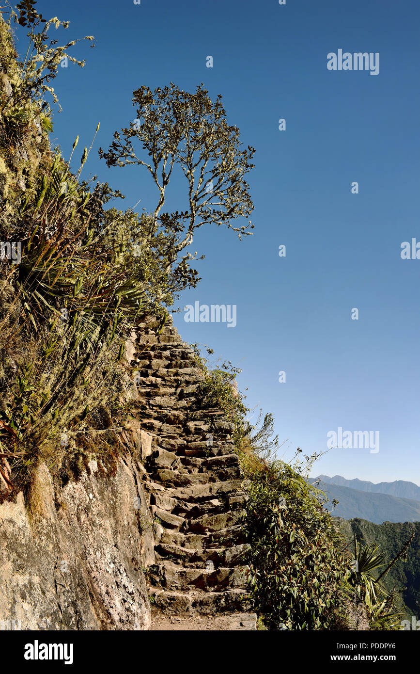 Inca Trail percorso di pietra di Machu Picchu Mountain (Montaña Machupicchu). Ripida e impegnativa salita fino a 3,061 metri sopra il livello del mare. Il Perù. Lug 2018 Foto Stock