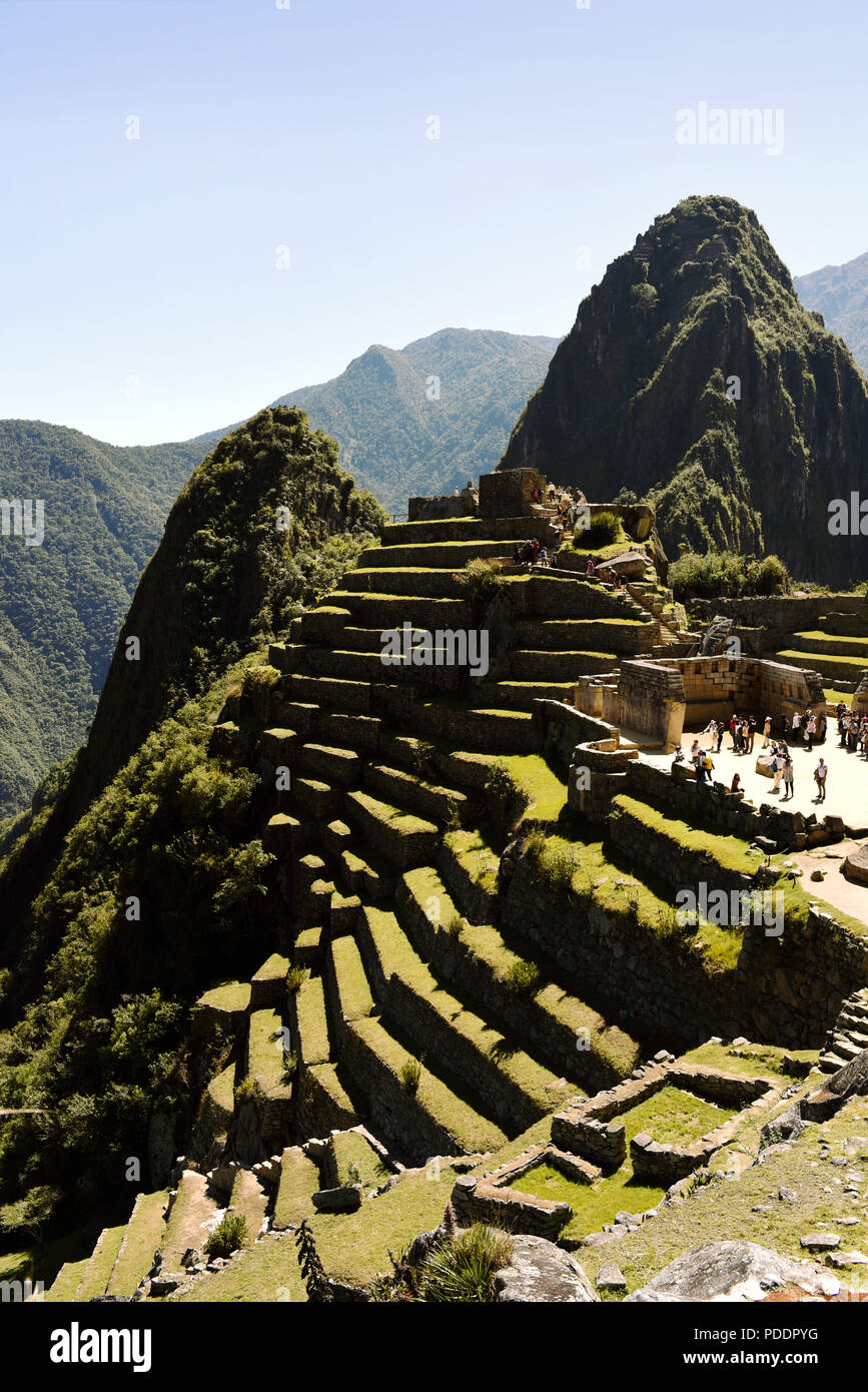 Machu Picchu terrazze. Gli agricoltori Inca utilizzato tali terrazzamenti durante l'impero per controllare erosione e aumento di area di superficie. Regione di Cuzco, Perù. Lug 2018 Foto Stock
