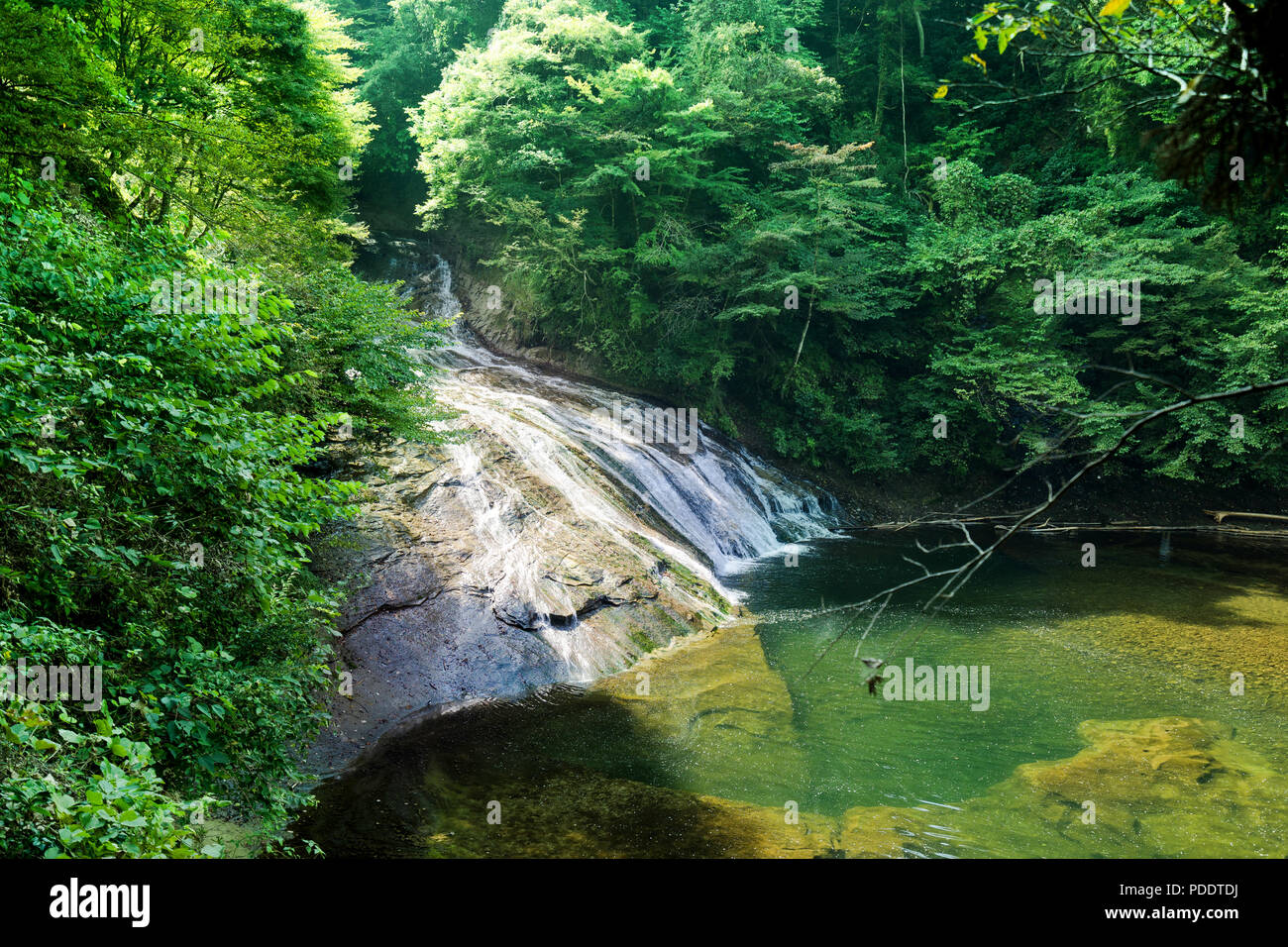 In Giappone il concetto di viaggio - bella yoro keikoku della valle delle cascate sotto drammatico sun glow e il mattino cielo blu nella prefettura di Chiba, Giappone Foto Stock