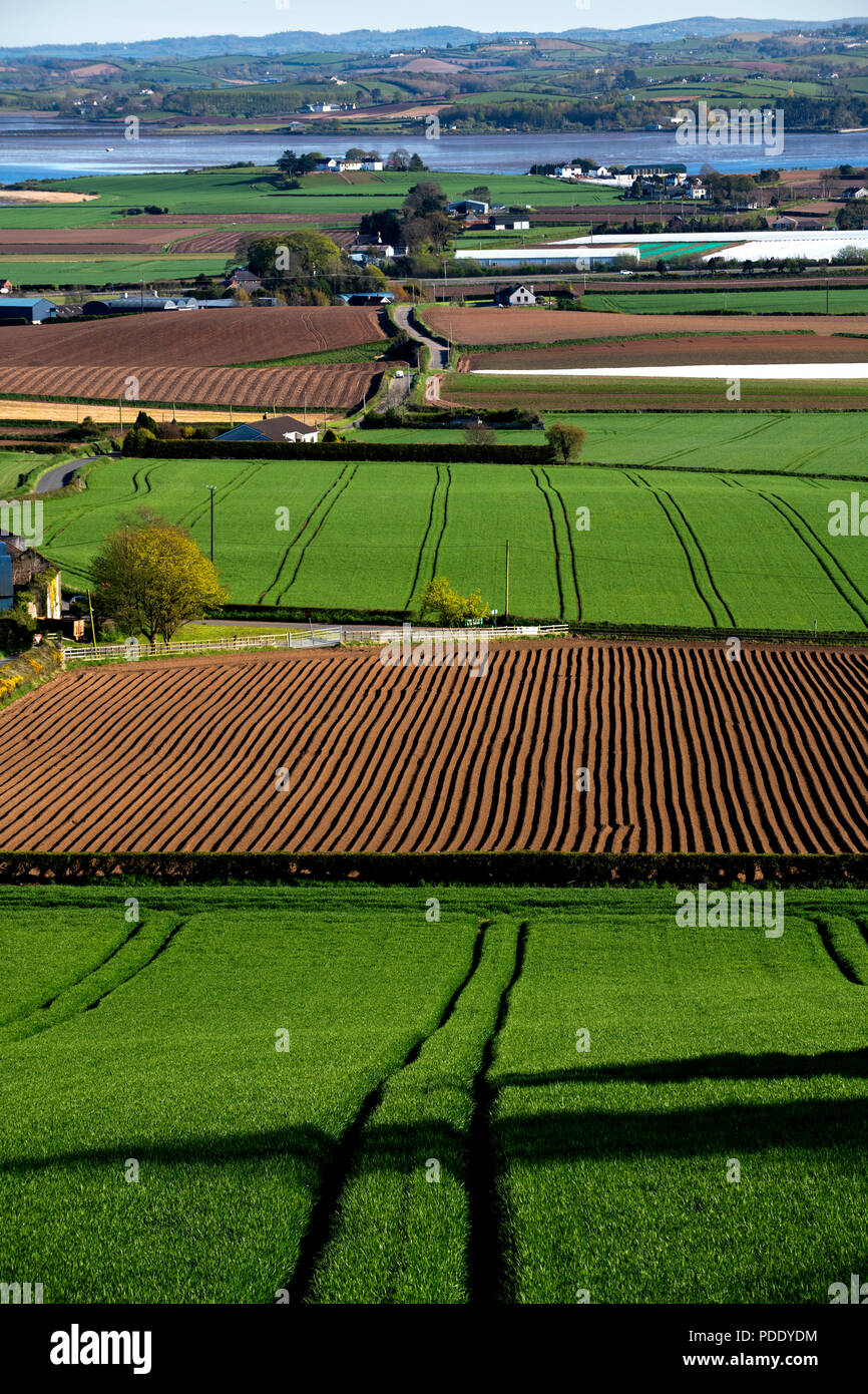 Campi arati in primavera Foto Stock