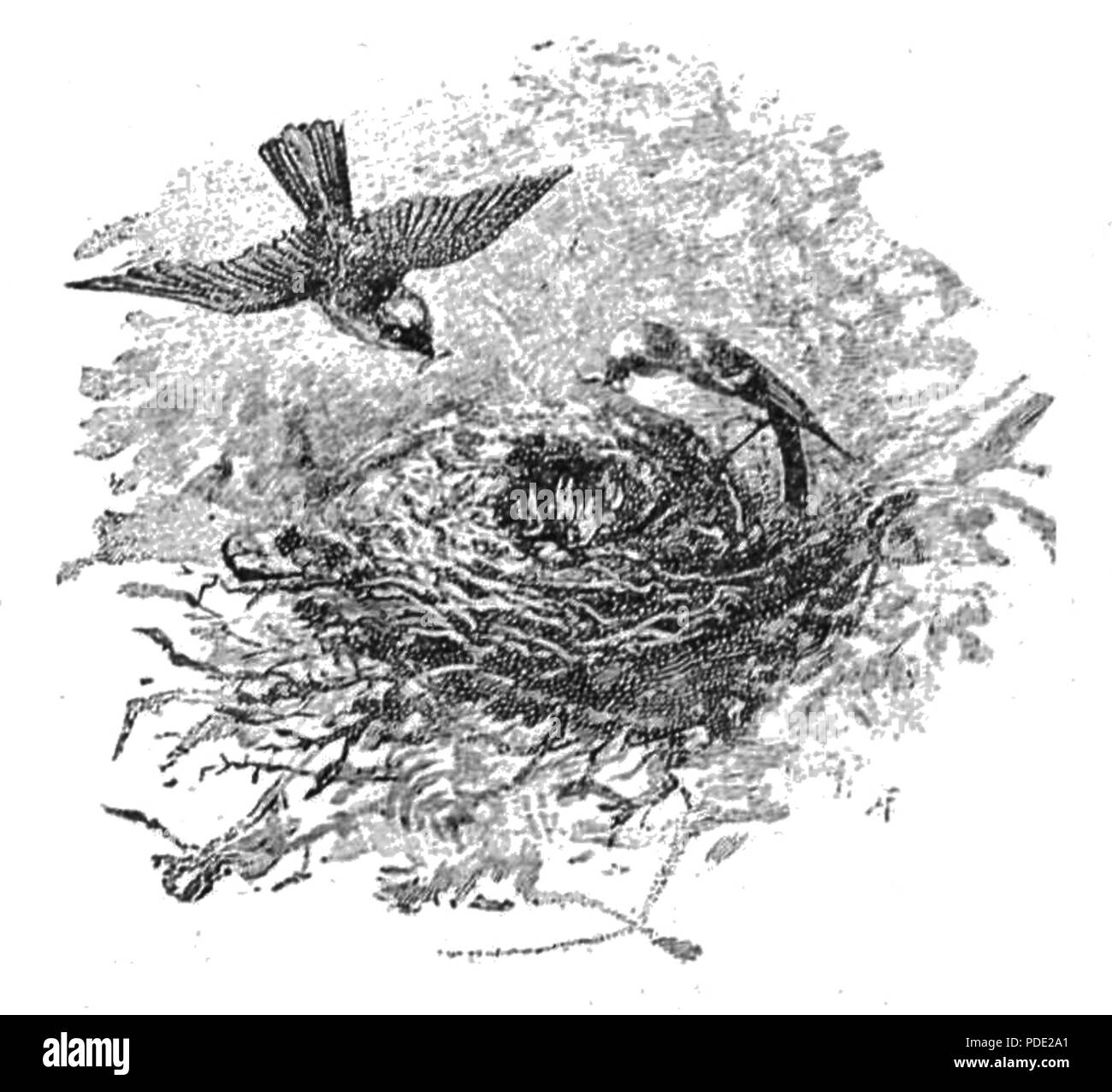 114 Dla dzieci pagina0077 Foto Stock