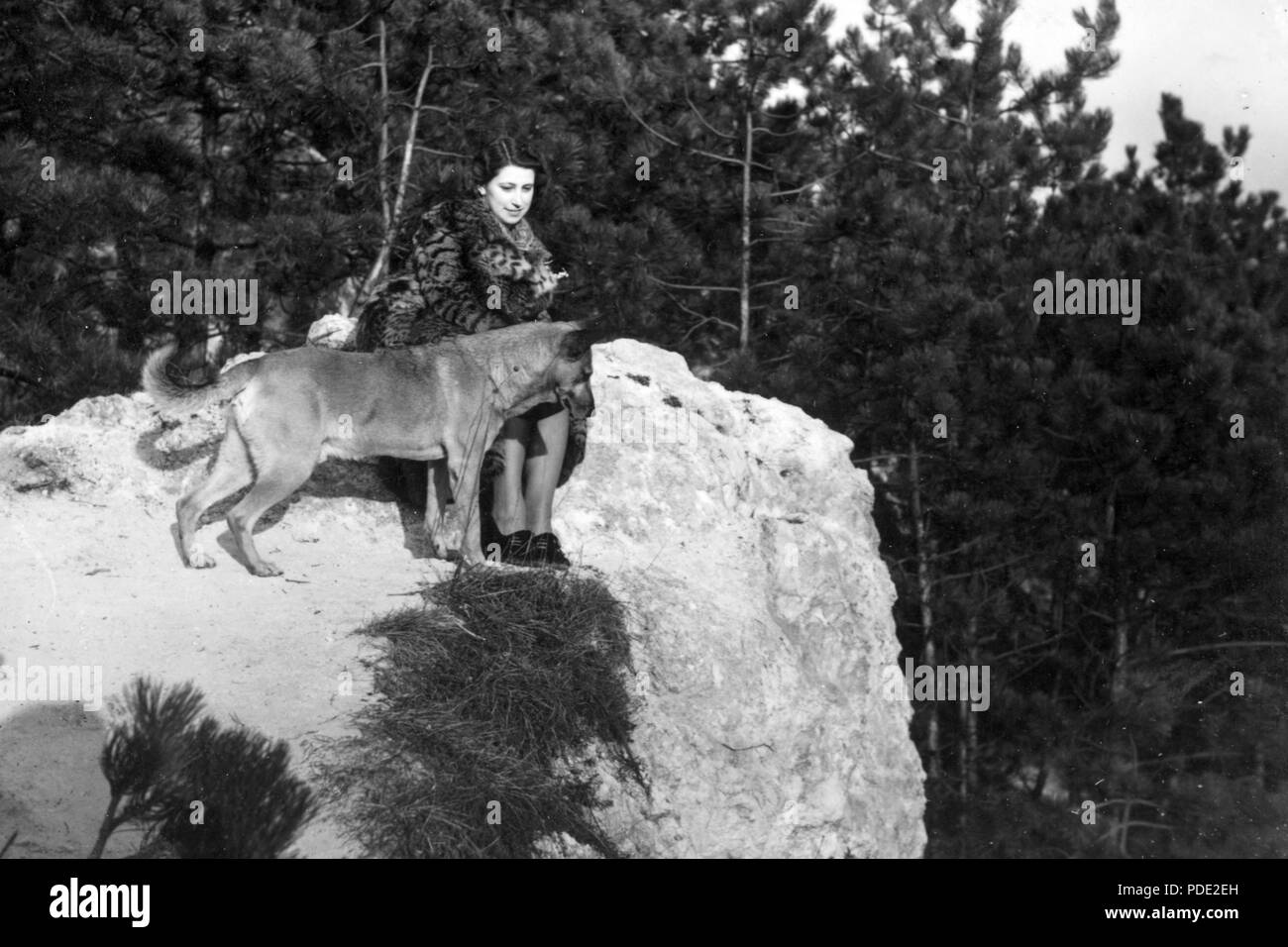 114 cane, ritratto di donna, pelliccia, rock, la pineta Fortepan 52508 Foto Stock