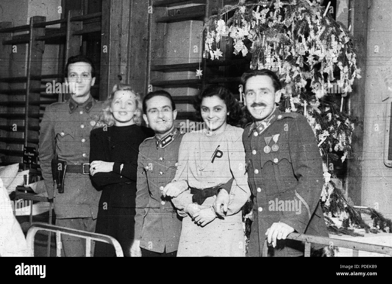 100 Natale, healthcare, tableau, medaglia, chevron Fortepan 29180 Foto Stock