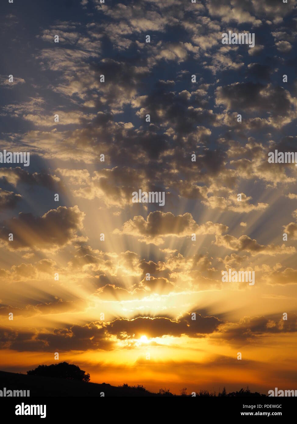 Visualizzazione verticale di un tramonto spettacolare su una bella serata che mostra sfumature di arancione crepuscolari con raggi di luce attraverso le nuvole altocumulus. Regno Unito Foto Stock