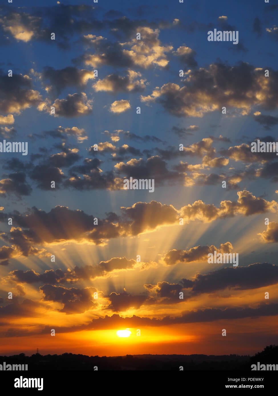 Visualizzazione verticale di un tramonto spettacolare su una bella serata che mostra sfumature di arancione crepuscolari con raggi di luce attraverso le nuvole altocumulus. Regno Unito Foto Stock