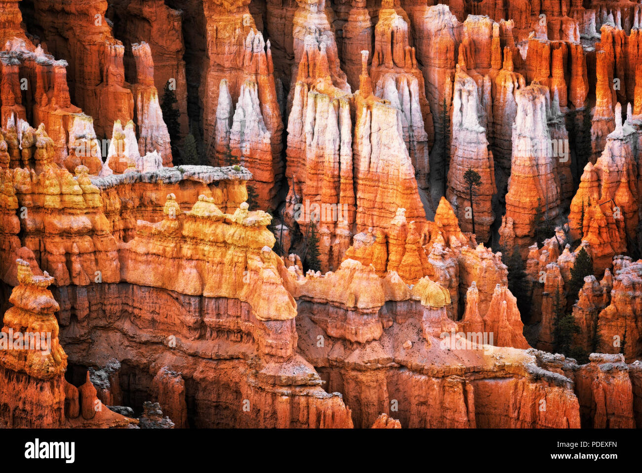 Serata crepuscolo civile glow sulla hoodoos della città silenziosa dal punto di ispirazione in Utah Bryce Canyon National Park. Foto Stock