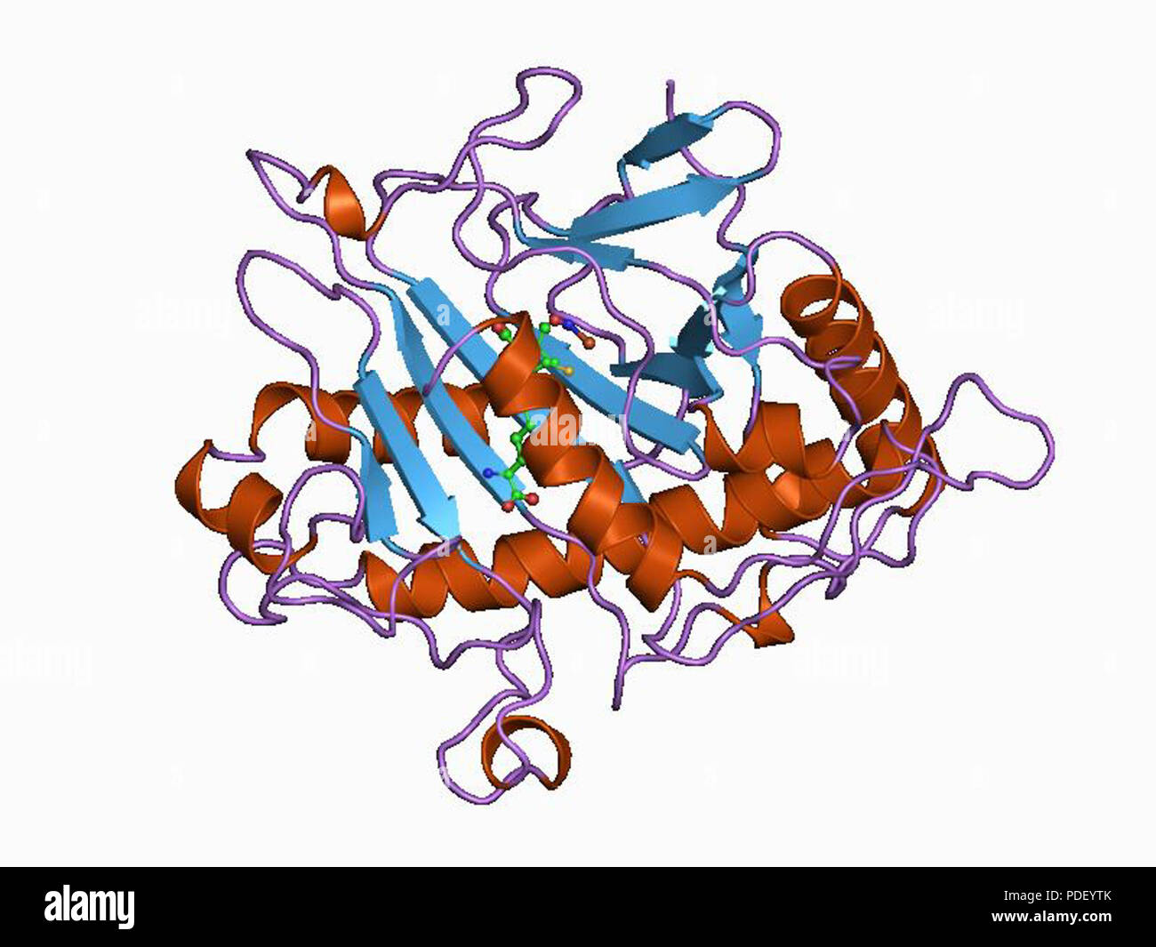 13 PDB 1blz EBI Foto Stock