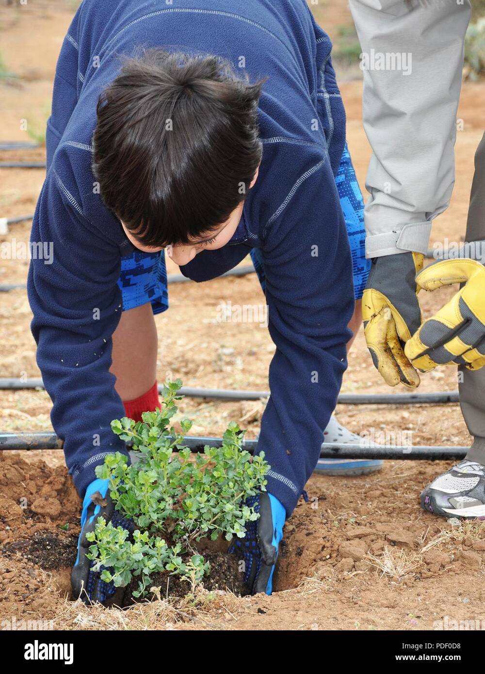 Seth Thomas, figlio di Eileen Takata, architetto del paesaggio, piombo risorse idriche planner e coinvolgimento del pubblico specialista con gli Stati Uniti Esercito di ingegneri di Los Angeles del distretto di divisione di pianificazione, riceve assistenza da sua madre come egli mette l'ultimo impianto in terra durante un restauro della comunità-piantando un evento potrebbe 12 in Norco, California. L'evento è stato ospitato dal governo degli STATI UNITI Esercito di ingegneri di Los Angeles District, il suo contraente e la città di Norco come uno sforzo congiunto per aiutare a ripristinare la zona per il suo habitat naturale. Foto Stock