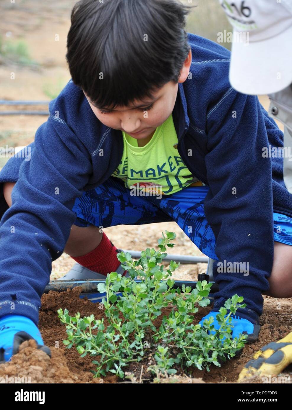 Seth Thomas, figlio di Eileen Takata, architetto del paesaggio, piombo risorse idriche planner e coinvolgimento del pubblico specialista con gli Stati Uniti Esercito di ingegneri di Los Angeles del distretto di divisione di pianificazione, pone l'ultimo impianto nel terreno durante un restauro della comunità-piantando un evento potrebbe 12 in Norco, California. L'evento è stato ospitato dal governo degli STATI UNITI Esercito di ingegneri di Los Angeles District, il suo contraente e la città di Norco come uno sforzo congiunto per aiutare a ripristinare la zona per il suo habitat naturale. Foto Stock