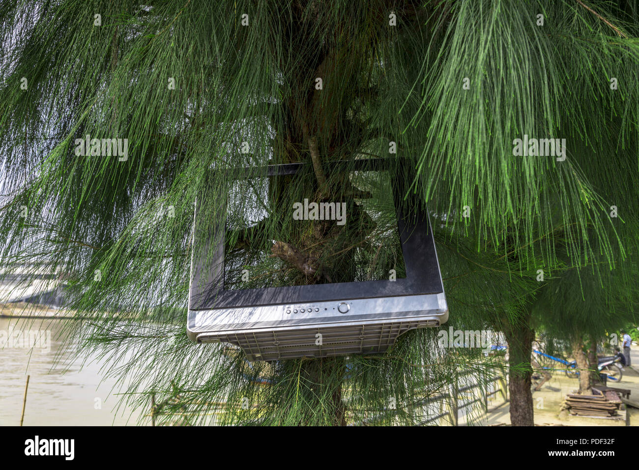 Una tv rotta cestinato su un albero in VN Foto Stock
