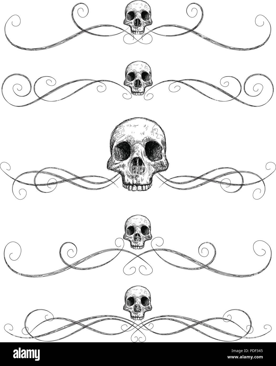 Sketchy cranio regole di pagina Illustrazione Vettoriale