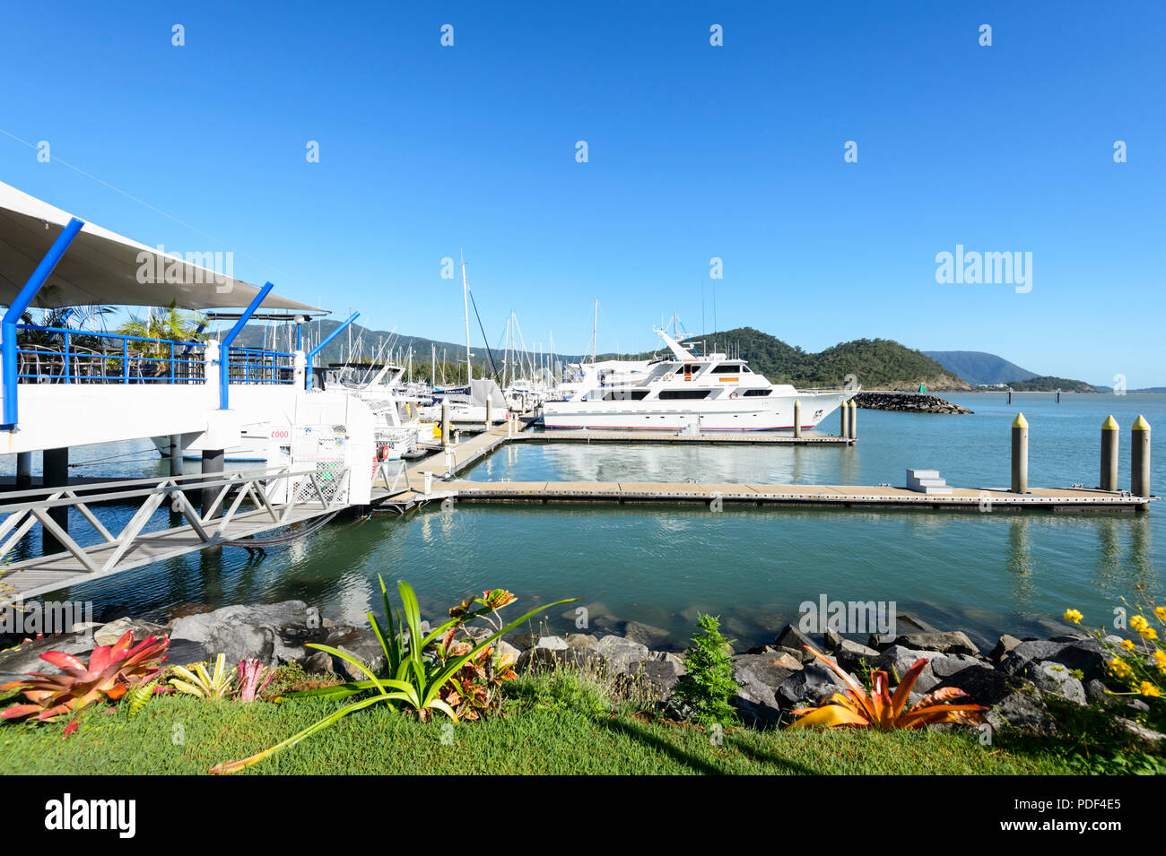 Manopola di Yorkeys Boating Club e Marina, Cairns Northern Beaches, estremo Nord Queensland, FNQ, QLD, Australia Foto Stock