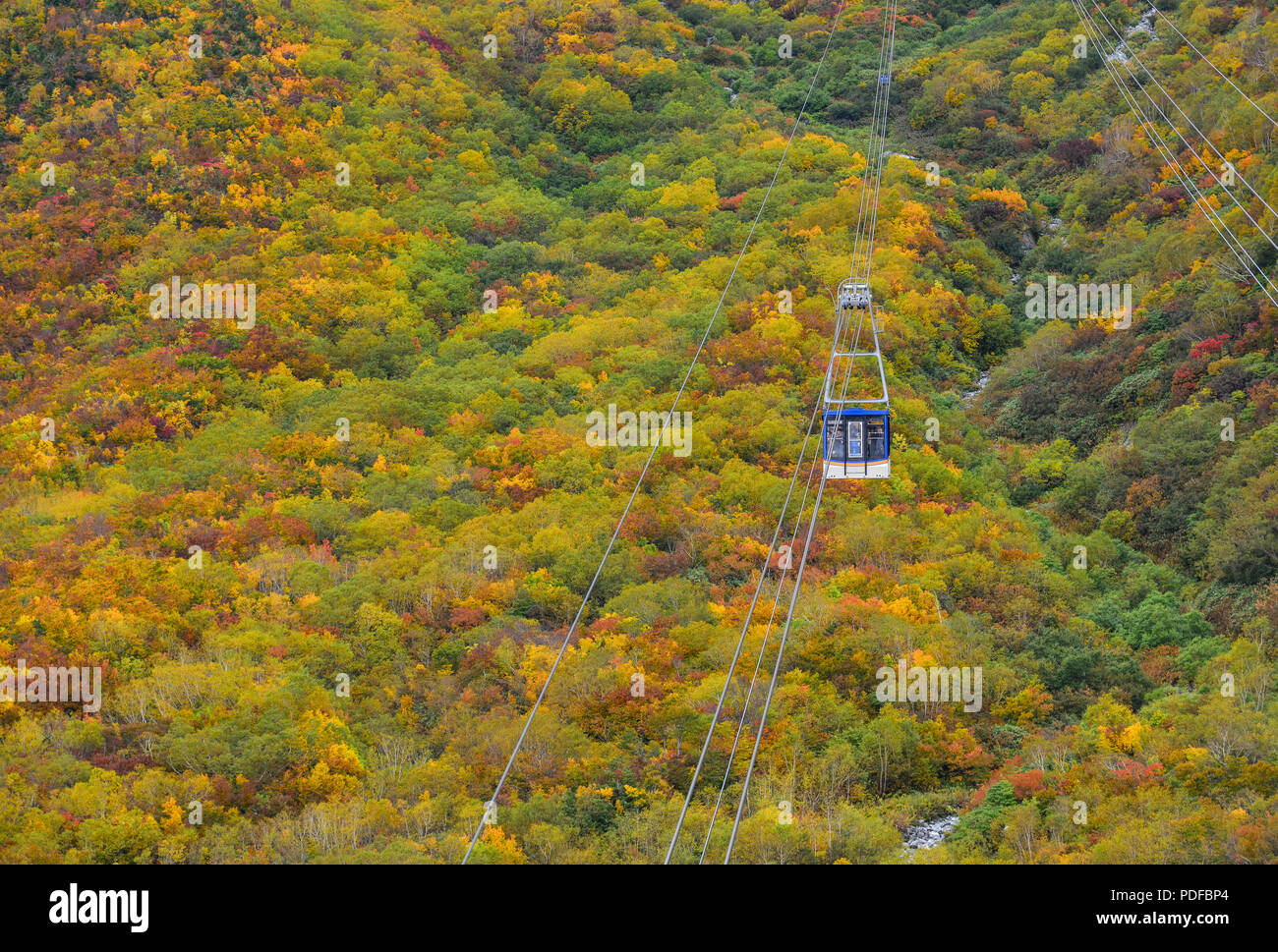 La funivia sul monte di autunno a Nagano, Giappone. Foto Stock