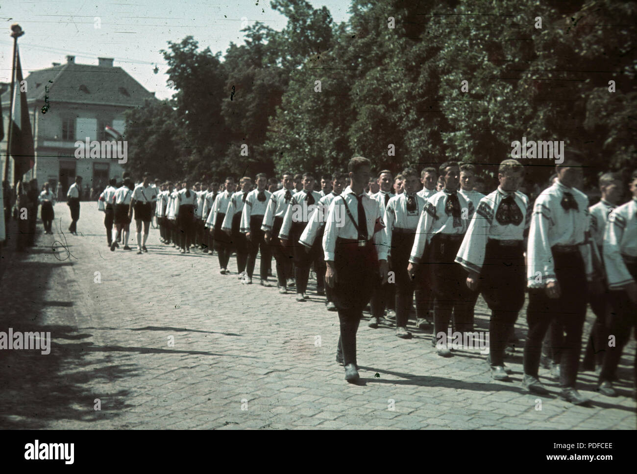 103 colorate, bandiera, bracciale, swastica Fortepan 92543 Foto Stock