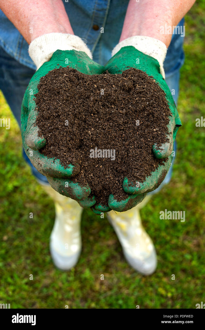 Il suolo, la terra in un giardiniere le mani Foto Stock