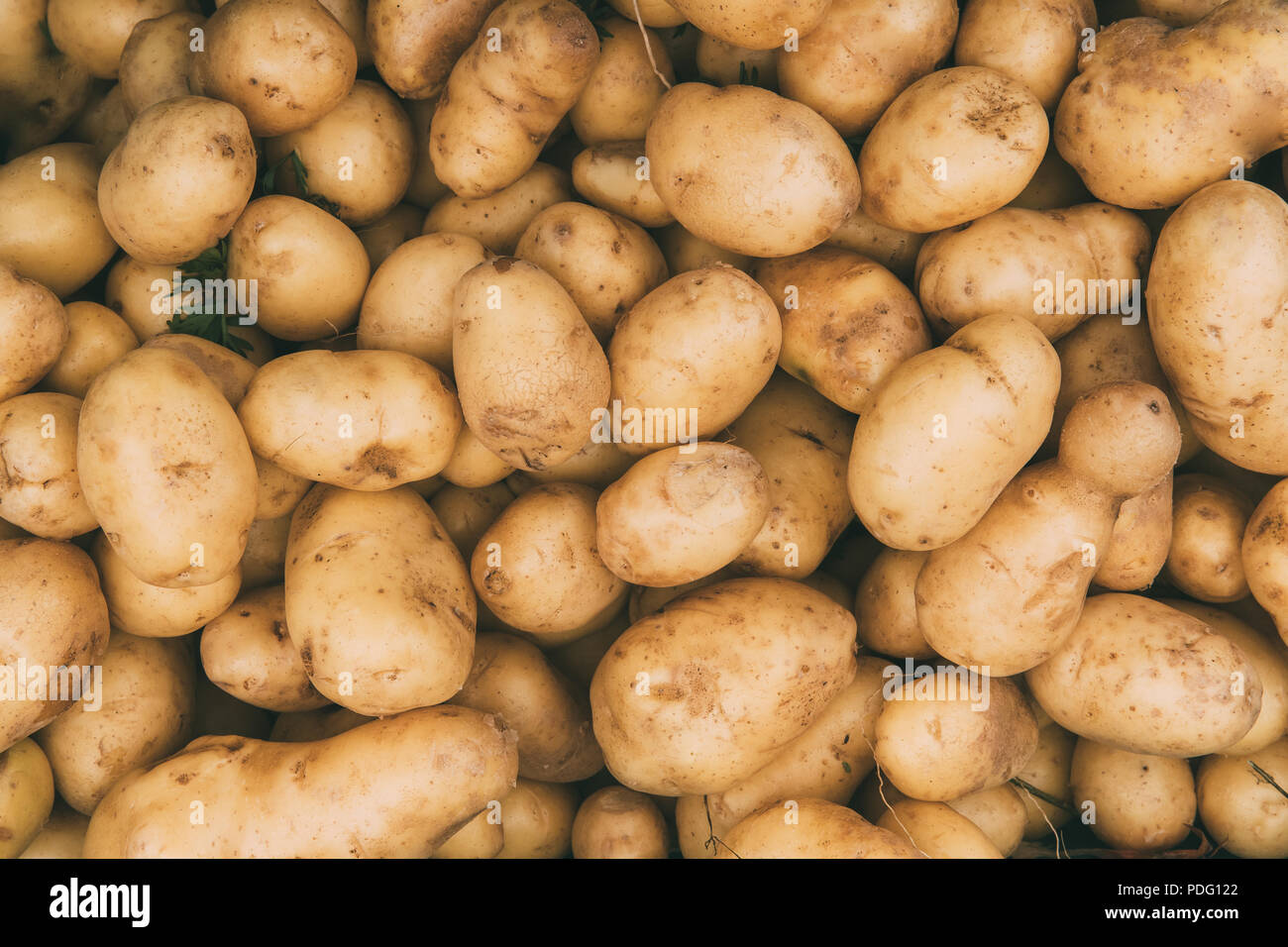 Organica marrone patate su locale agricolo mercato ortofrutticolo. In autunno il raccolto di patate sfondo Foto Stock