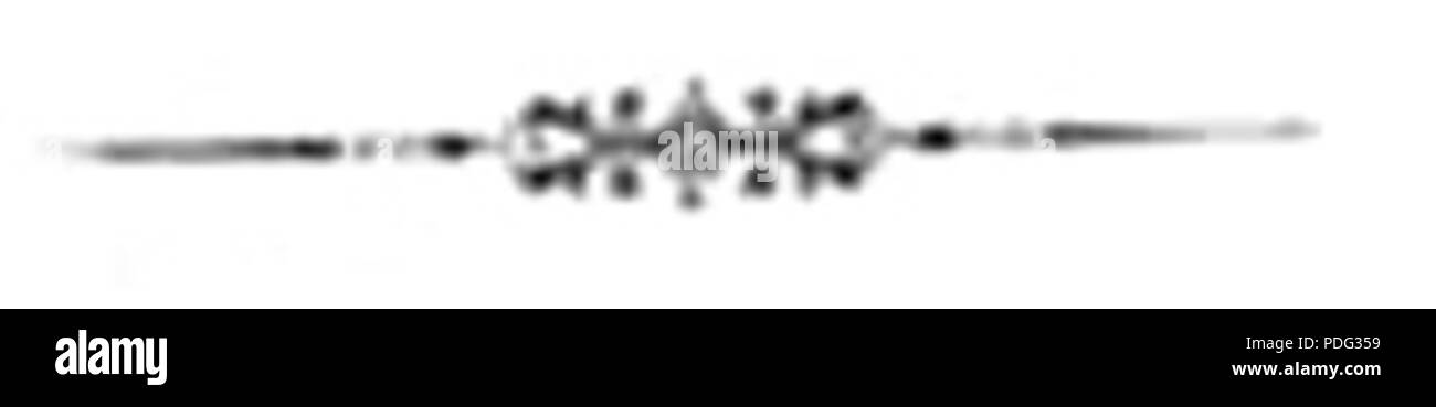 167 Jan Tarnowski z Dzikowa page207 Foto Stock