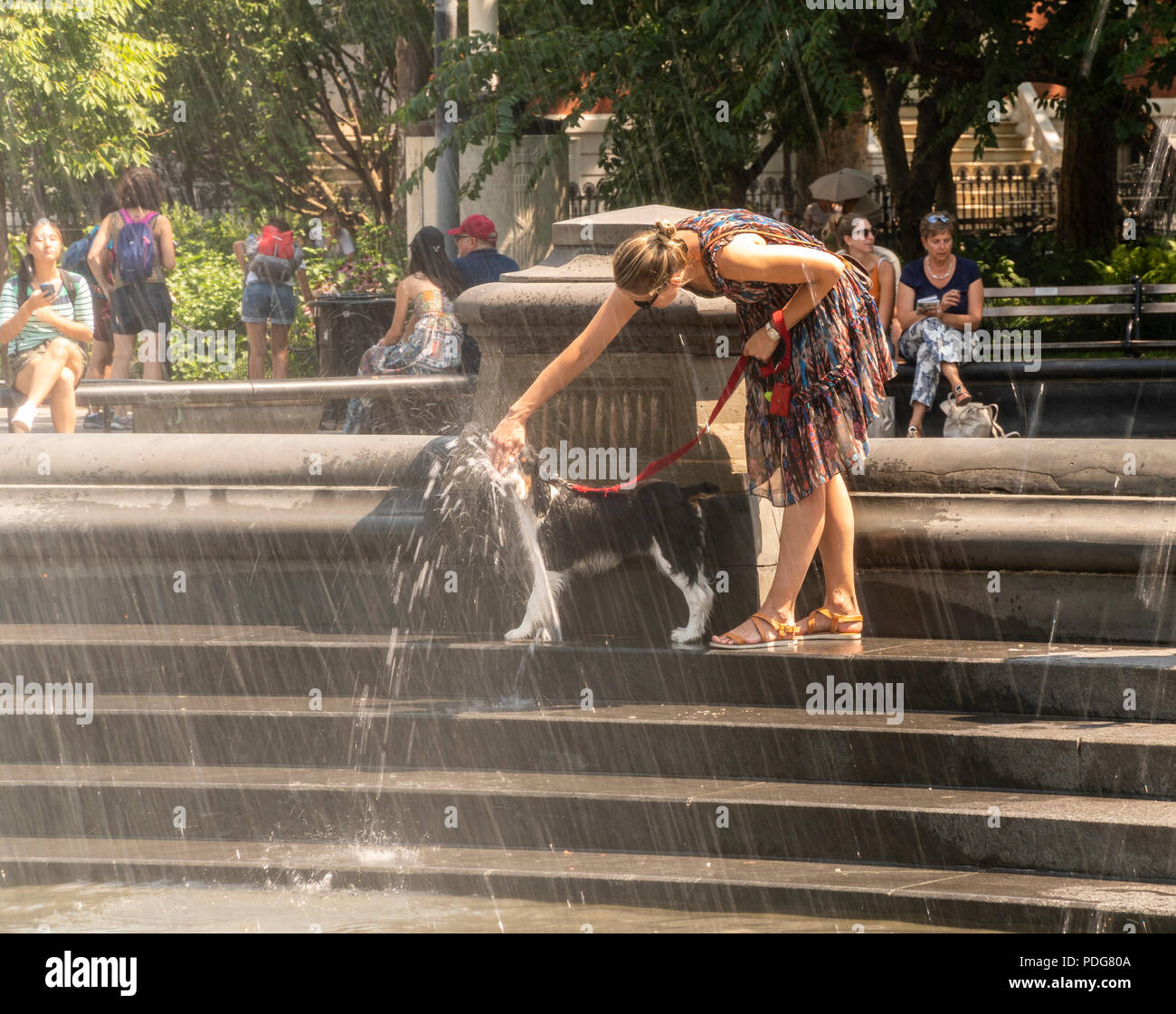 Un proprietario di pet non si raffredda il suo cane dalla fontana di Washington Square Park nel Greenwich Village di New York il Mercoledì, 8 agosto 2018. Un elevato tasso di umidità e temperature broiling sono garantendo una scomoda la giornata a New York come un calore advisory è a posto. Nonostante le tempeste prevista per venire attraverso il mercoledì sera il calore e umidità rimarranno per il resto della settimana. ( Â© Richard B. Levine) Foto Stock