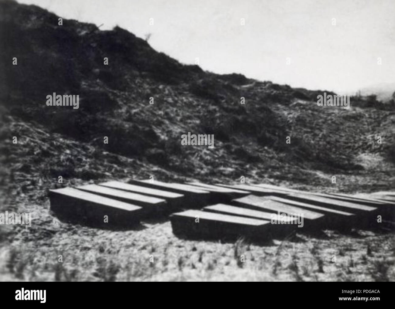 247 Ongeveer 15 kisten met de stoffelijke resten van Nederlandse verzetshelden die op de Waalsdorpervlakte zijn gefusilleerd Foto Stock