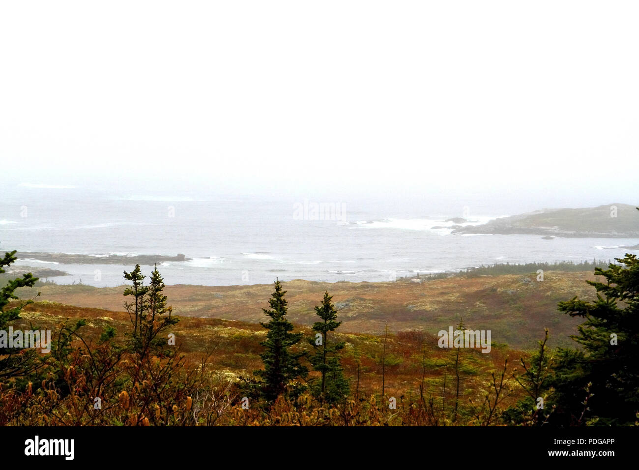 Paesaggio e Oceano Atlantico paesaggi marini nelle acque di Terranova, del Canada Foto Stock