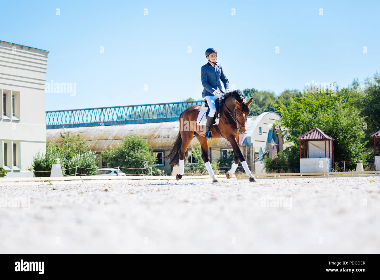 Giovane uomo bello in sella al suo colore marrone scuro cavallo sulla grande pista Foto Stock