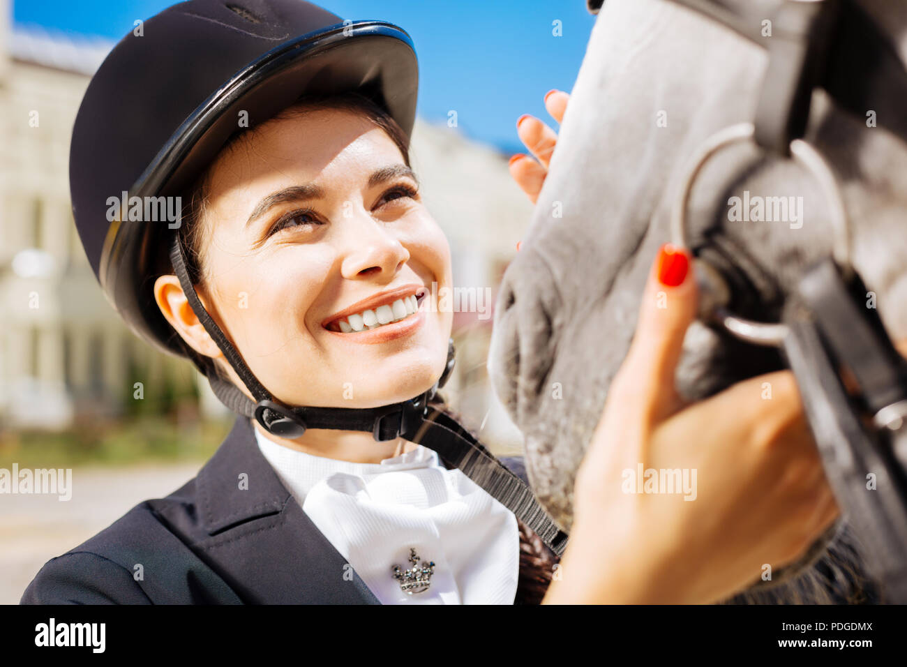 Allegro dark-eyed pilota femmina guardando il suo cavallo da corsa Foto Stock