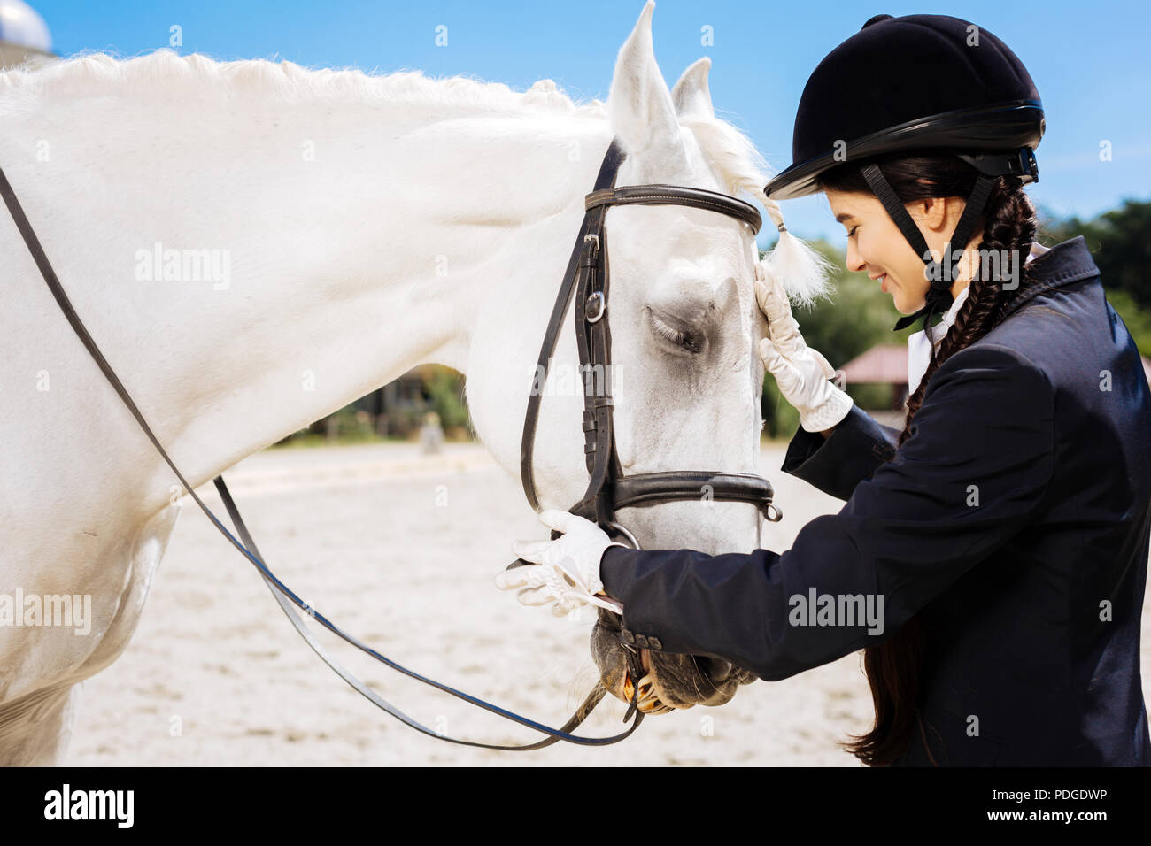 Dark-eyed pilota femmina parlando al suo cavallo prima del concorso Foto Stock