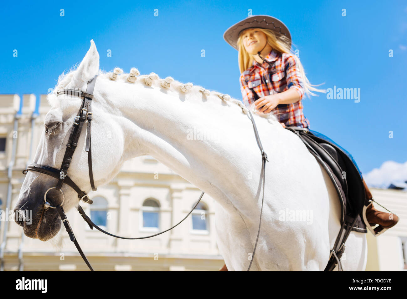 Sella Da Cowboy Immagini e Fotos Stock - Alamy