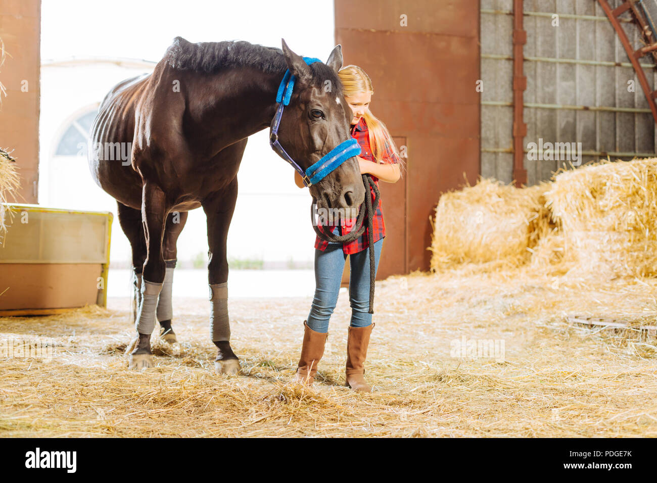 Bionda schoolgirl appoggiata sulla bellissima Dark Horse Foto Stock