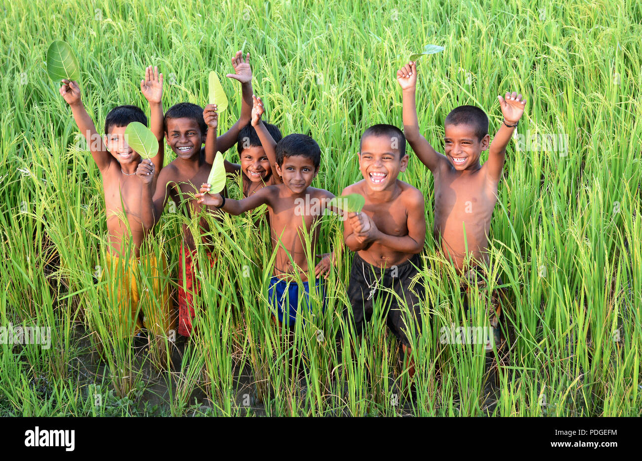 La felicità - i bambini sono godendo nelle risaie. Foto Stock