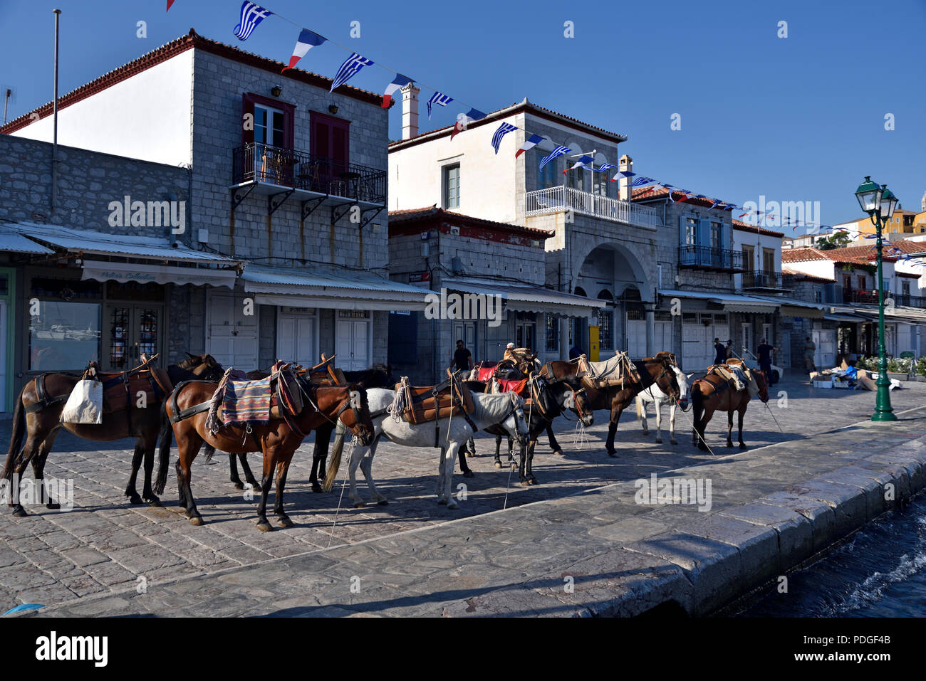 Cavalli e muli in città Hydra, Hydra Island, Grecia Foto Stock