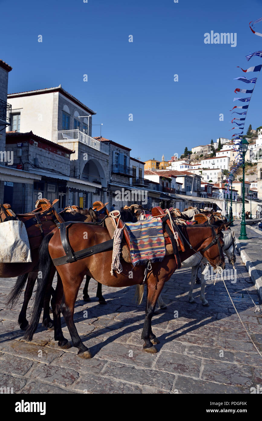 Cavalli e muli in città Hydra, Hydra Island, Grecia Foto Stock