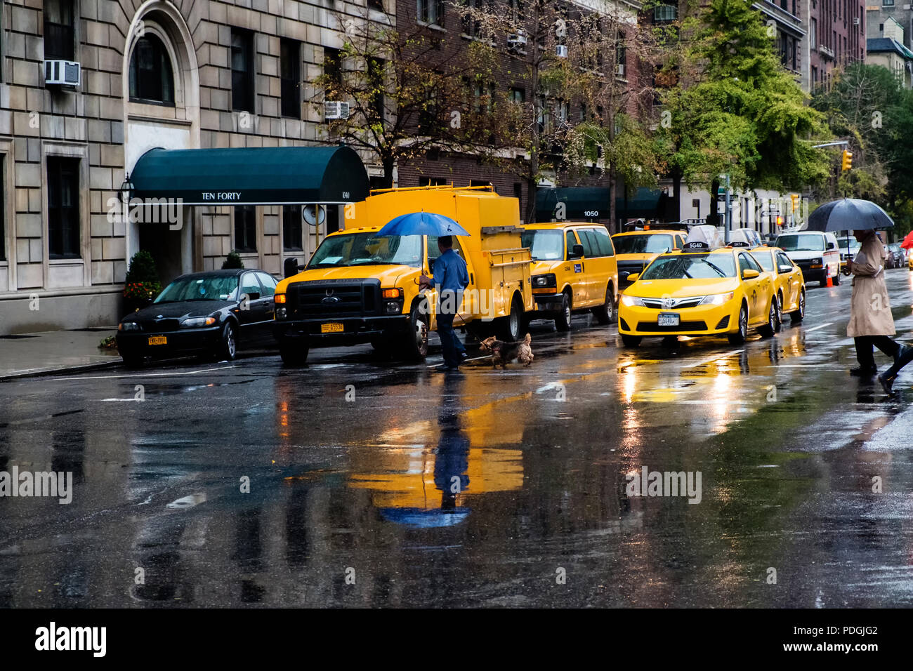 Uomo in blu attraversando via nella parte anteriore del giallo taxi nella città di New York Foto Stock