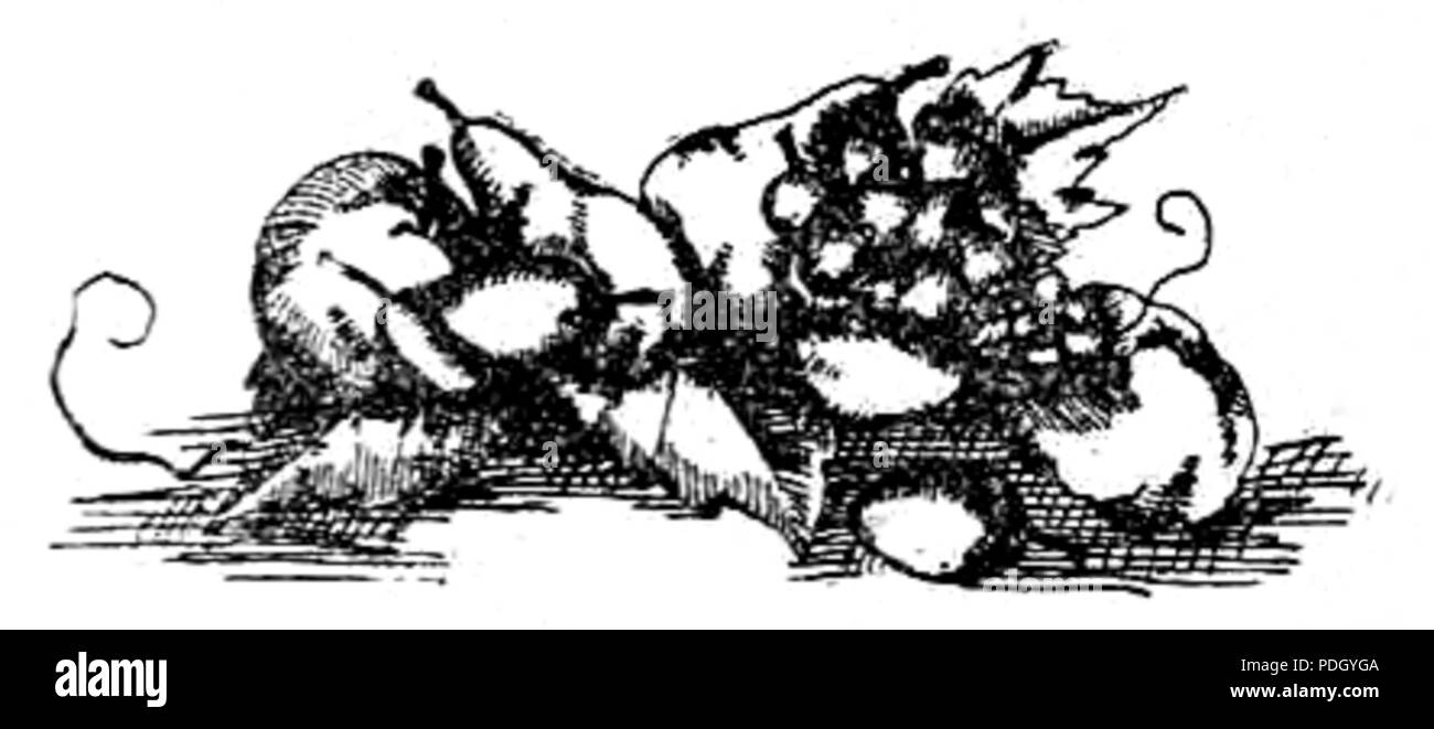 233 Nalewki i likiery p27 Foto Stock