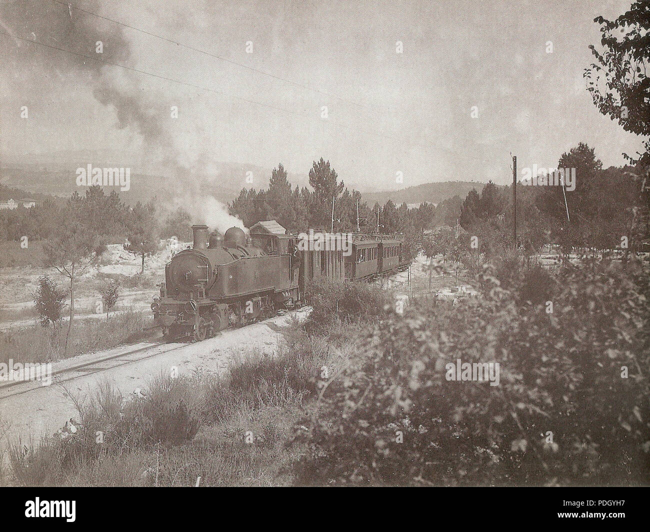 233 a scartamento ridotto in treno in Portogallo Foto Stock