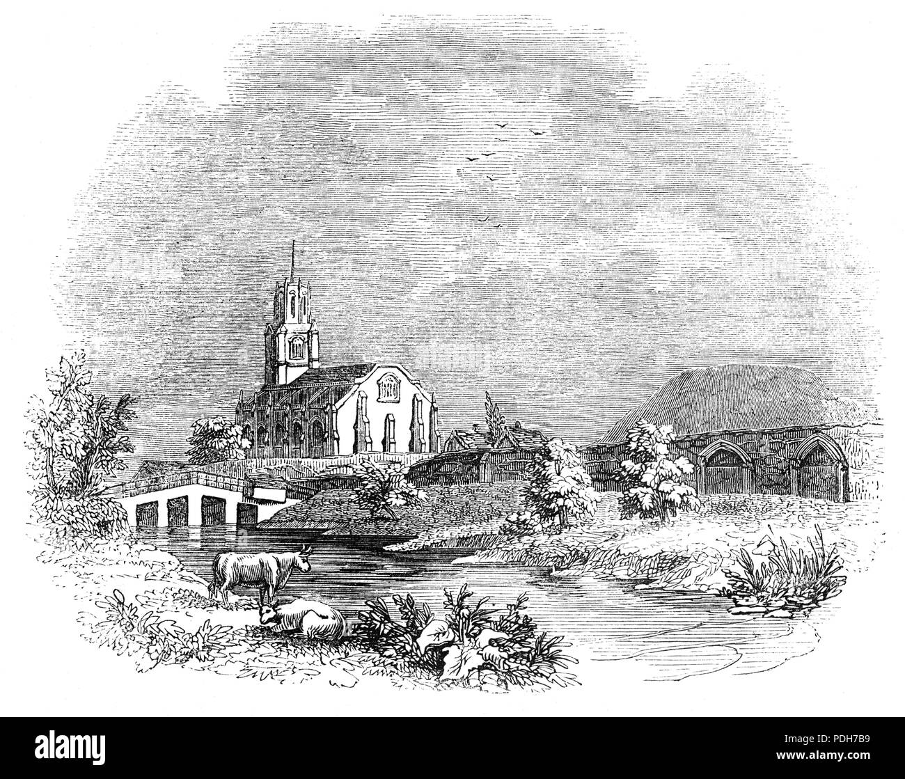 Santa Maria e Chiesa di Tutti i Santi sulle rive del fiume Nene in Fotheringhay, Northamptonshire, Inghilterra. La chiesa, iniziata da Edward III che ha anche costruito un collegio come un chiostro la chiesa sul lato meridionale risale al 1430. La chiesa, perpendicolare in stile ha un segno distintivo di alta torre che domina l'orizzonte locale. Dopo il coro della chiesa fu distrutto nel XVI secolo, Elizabeth ho ordinato la rimozione del fracassato York tombe e creato i monumenti presenti al terzo Duca e sua moglie intorno all'altare. Foto Stock