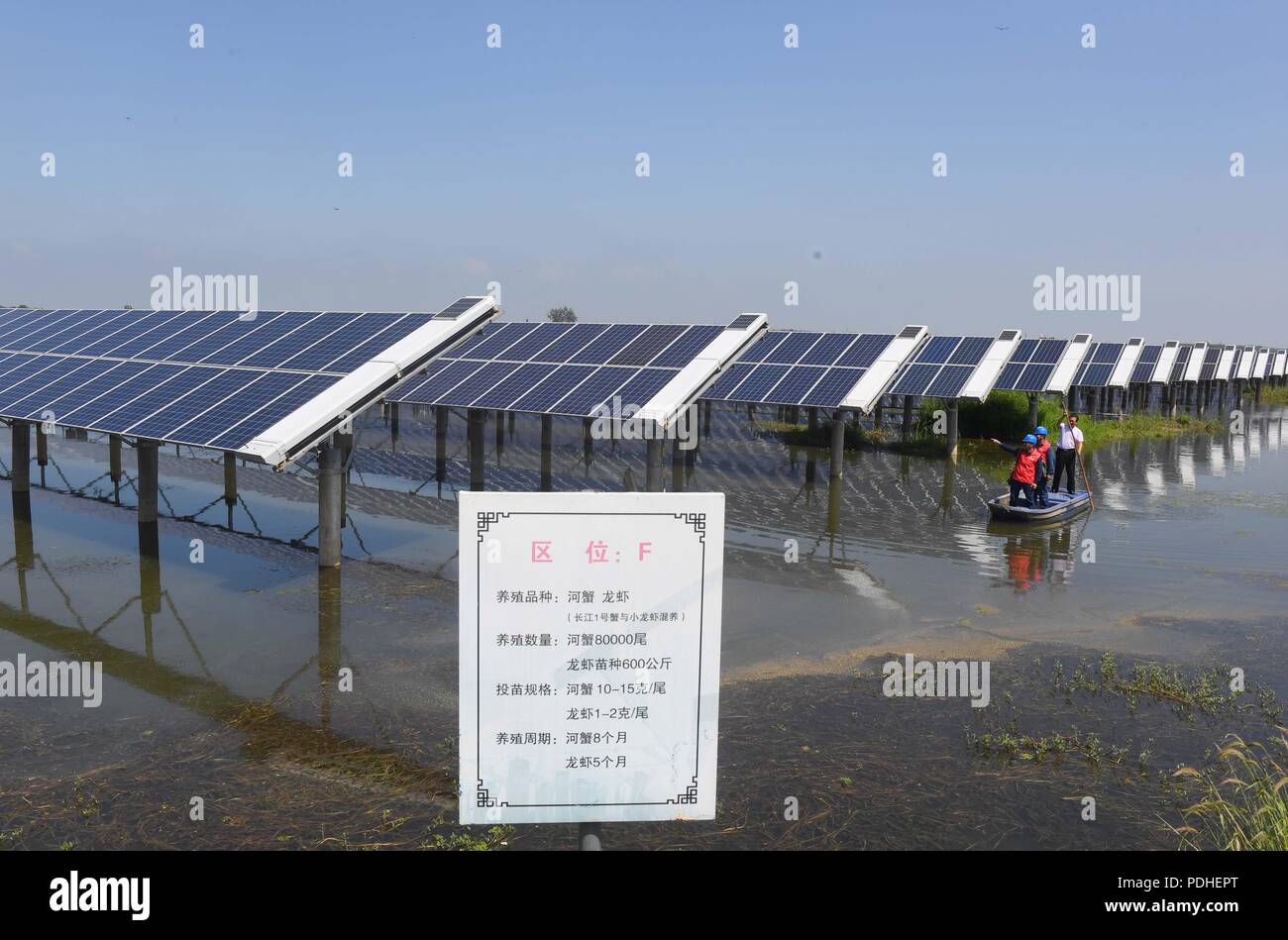 Tianchan, Tianchan, Cina. 10 Ago, 2018. Tianchang, CINA-fotovoltaica centrali possono essere visti presso lo stagno di pesce in Tianchang, est della Cina di Anhui Provincia.Il governo locale compie sforzi per combinare il pesce industria di allevamento con potenza PV industria, che migliora il reddito degli agricoltori locali. Credito: SIPA Asia/ZUMA filo/Alamy Live News Foto Stock