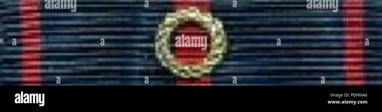 253 Pamětní odznak SOPVP 1939-1945 - Nastro Foto Stock