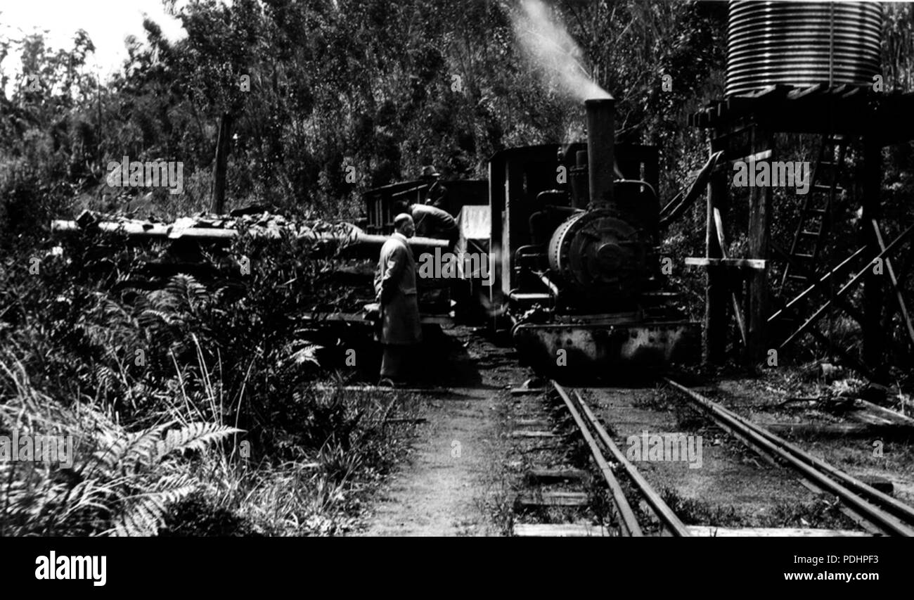 83 Marrawah tramvia da R C Harvey, Archivio della Tasmania NS1029-1-146 Foto Stock