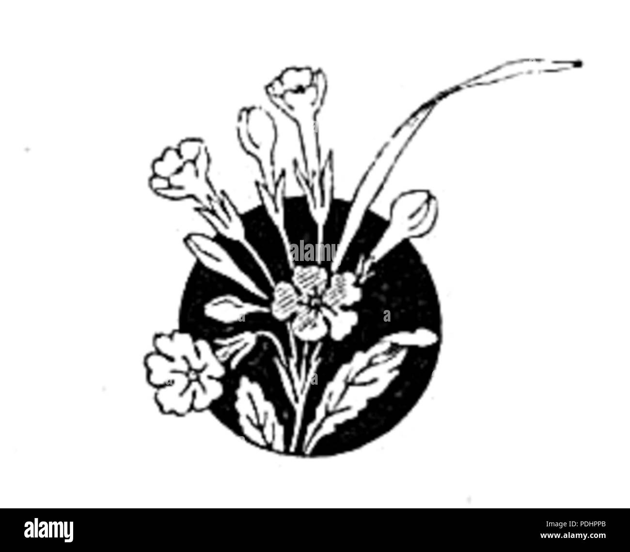 266 Poezye Karola Antoniewicza tom i str 036 Foto Stock