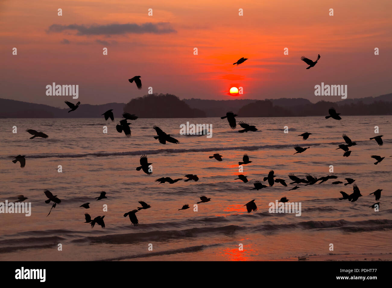 Gruppo di corvi sorvolano il cloud Foto Stock