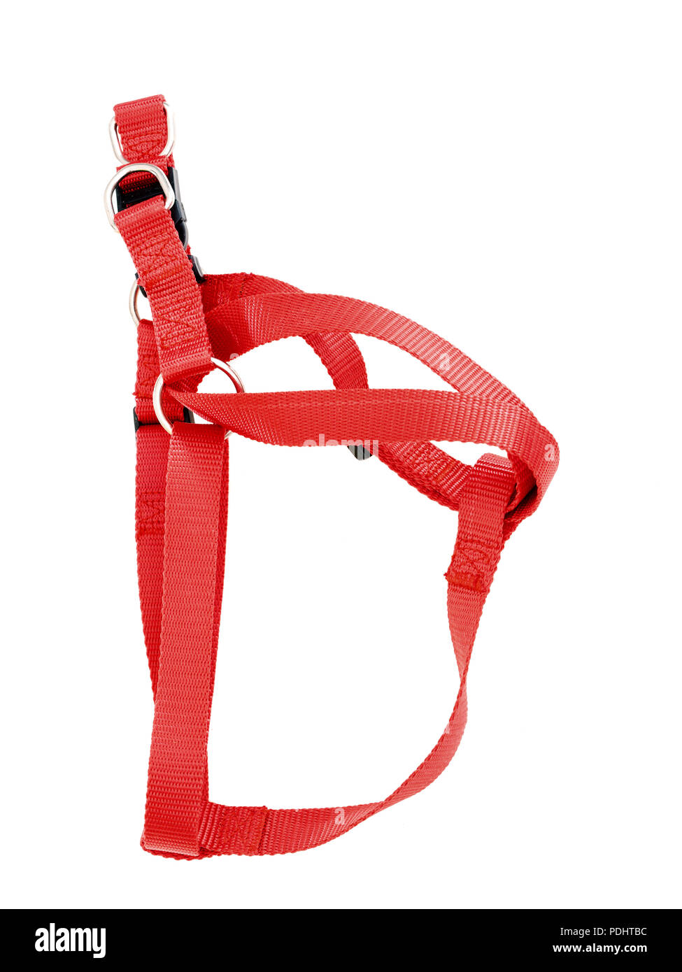 Generico, senza marca cane rosso del cavo isolato su bianco. Foto Stock